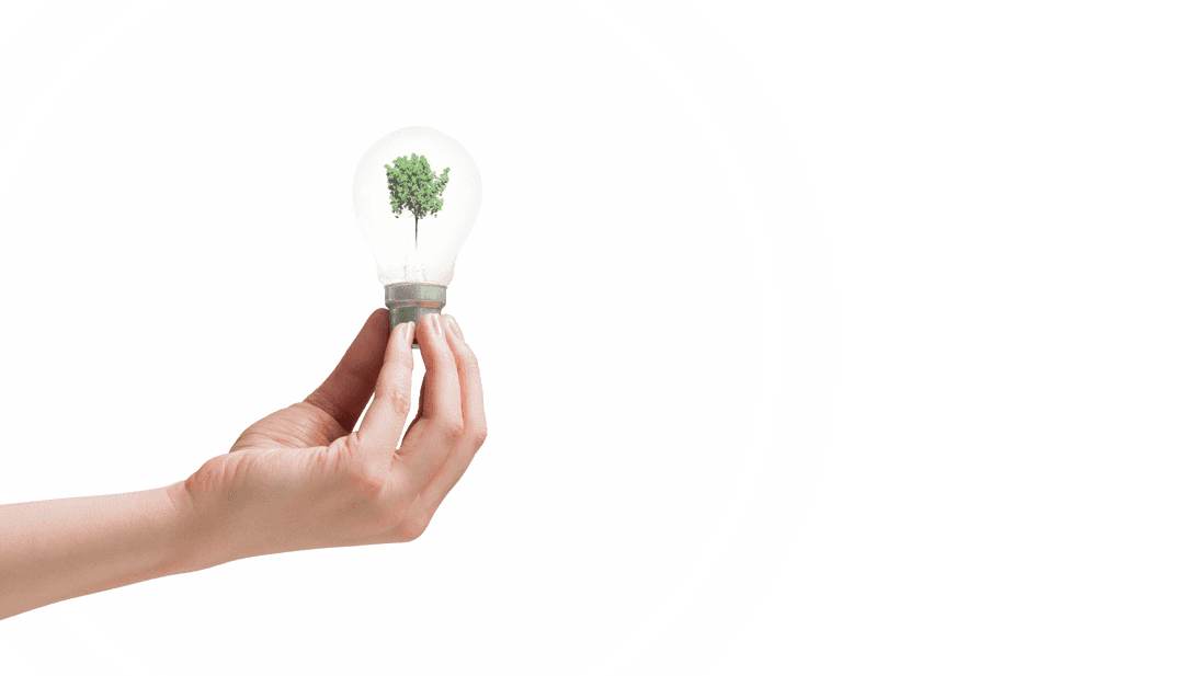Hand Holding Transparent Light Bulb with Green Tree Inside for Sustainability