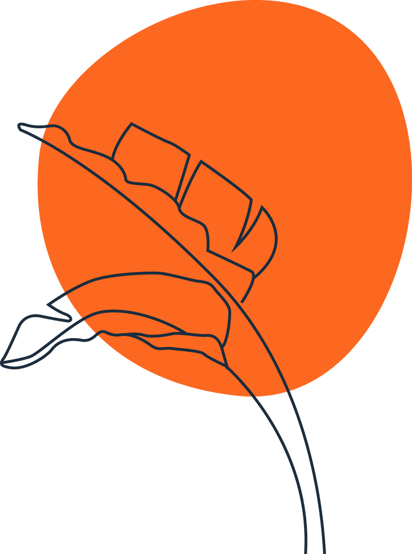 Stylized Tropical Leaf Over Orange Shape, Transparent Background