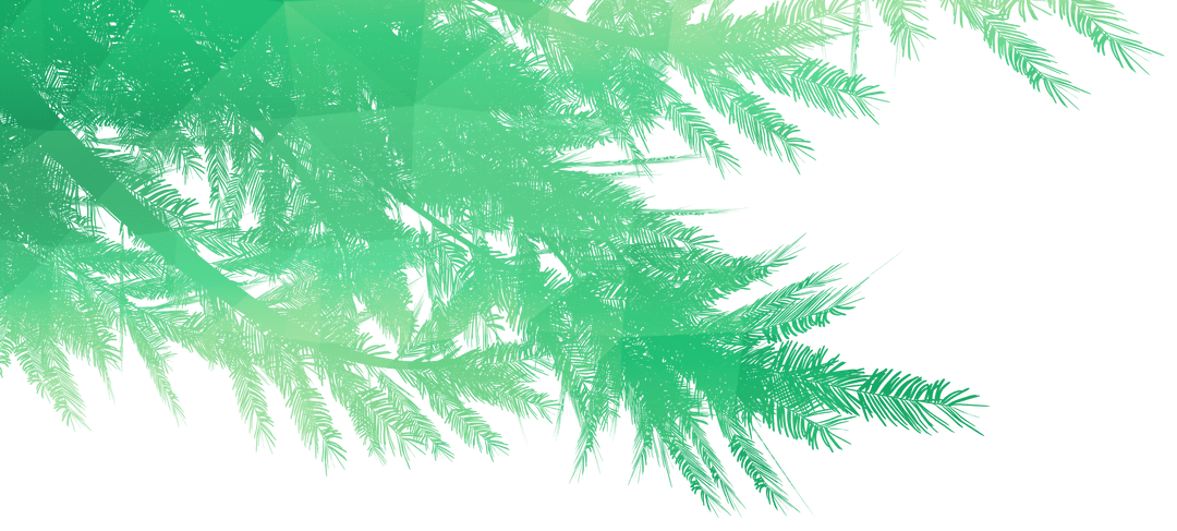 Transparent Geometric Green Fir Tree Illustration