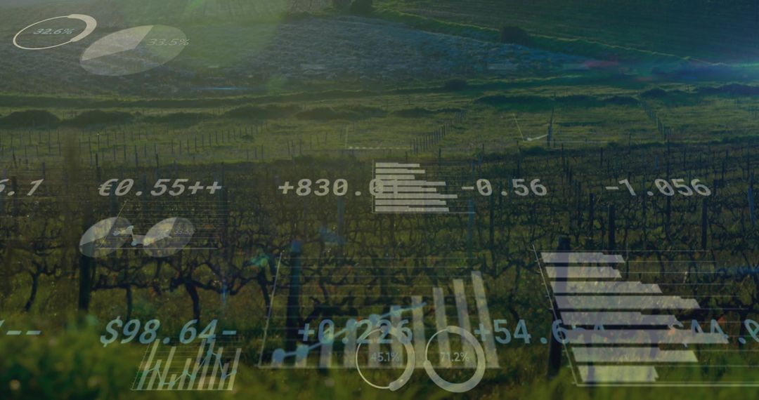 Vineyard monitoring with augmented reality analytics overlay and precision farming data