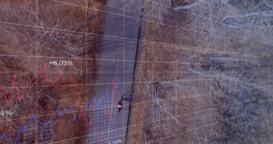 Harnessing Financial Data amid Nature's Serenity