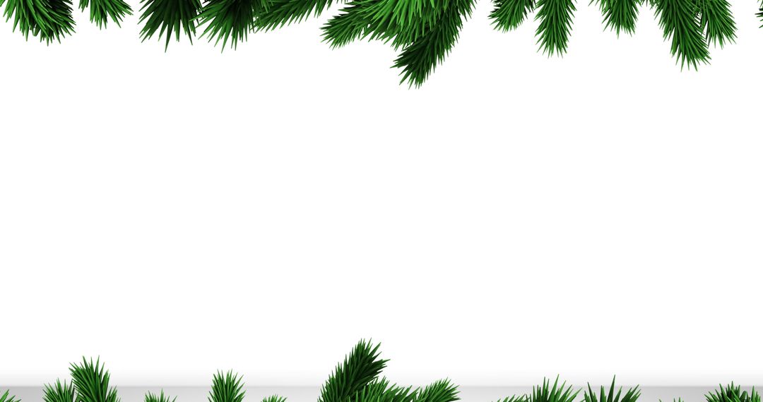 Festive Pine Branches Border on White Background