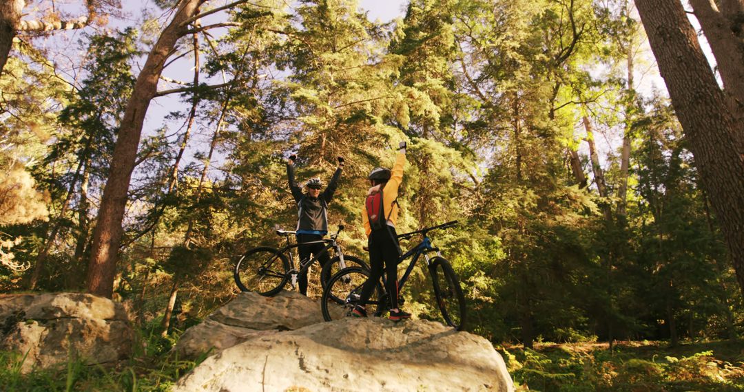 Cyclists exploring forest trail on mountain bikes during sunny day - Free Images, Stock Photos and Pictures on Pikwizard.com