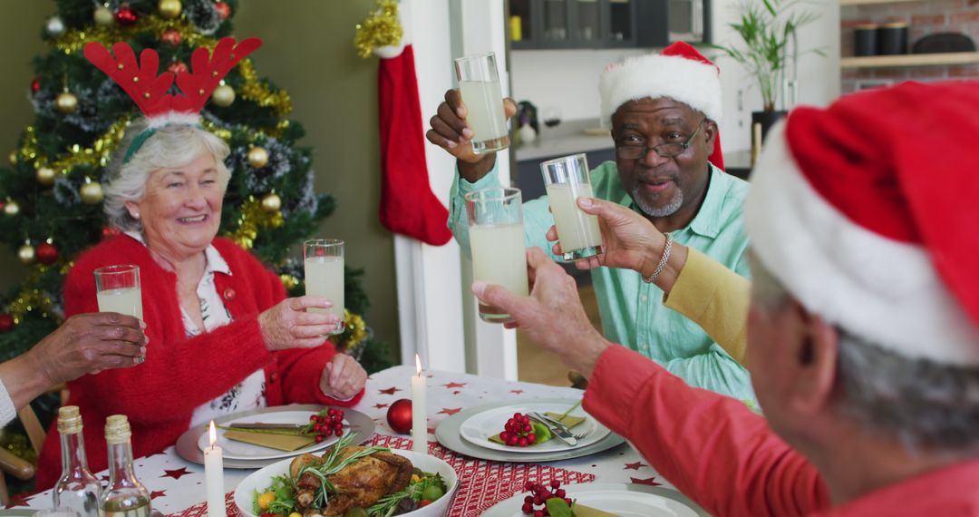 Elderly Friends Celebrating Christmas Dinner with Toast - Free Images, Stock Photos and Pictures on Pikwizard.com