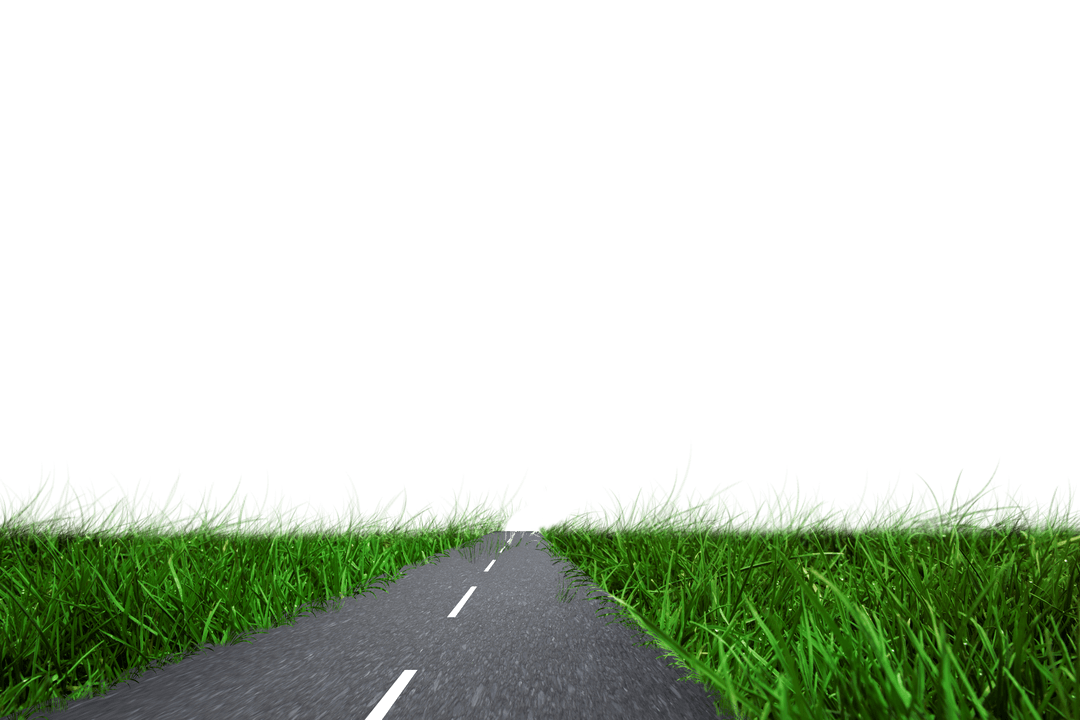 Transparent Road Leading Through Tall Grass Digital Design
