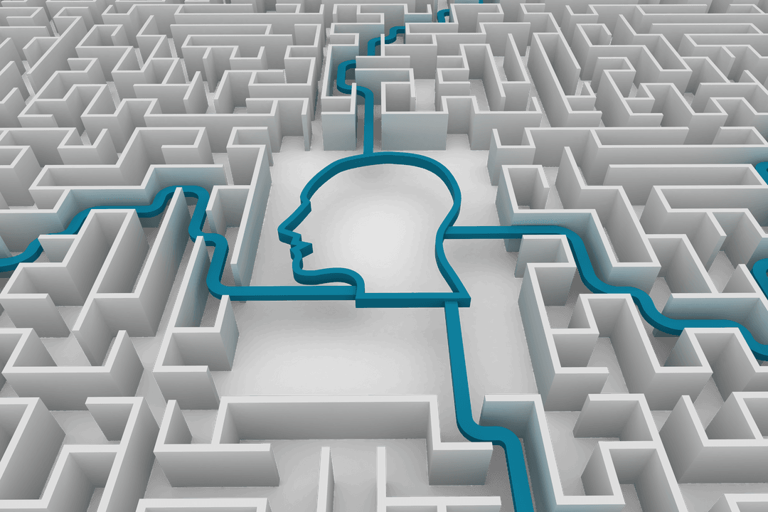 Transparent Human Face Silhouette Integrating with Maze