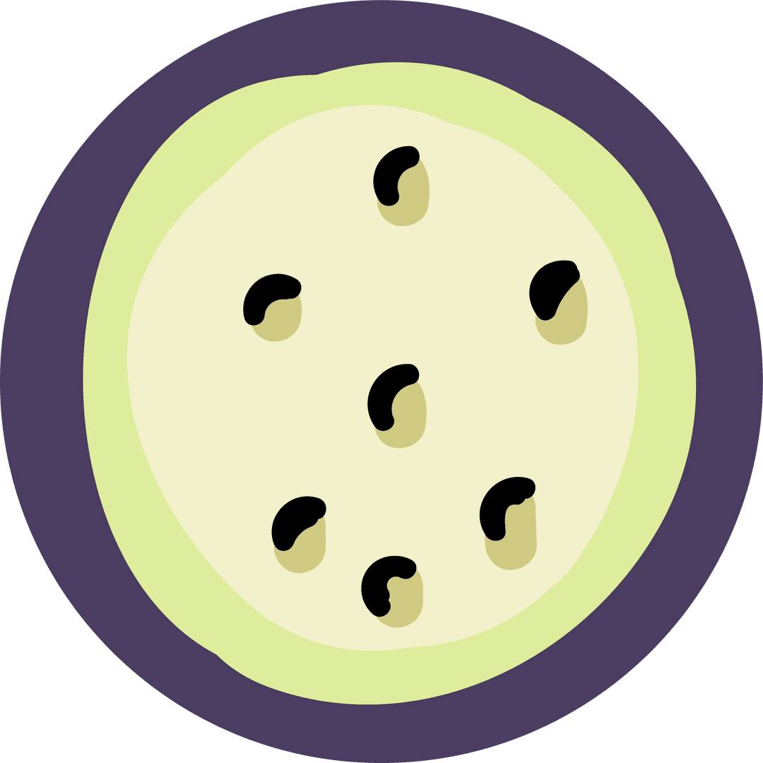 Colorful Abstract Motif with Beans on Transparent Background