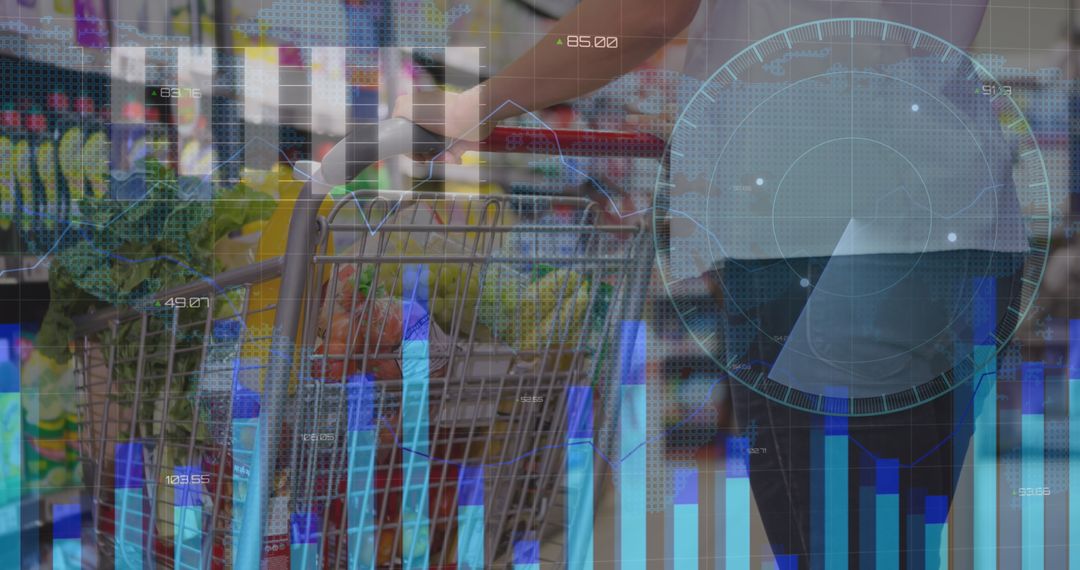 Digital Retail Analysis Overlay on Shopping Experience
