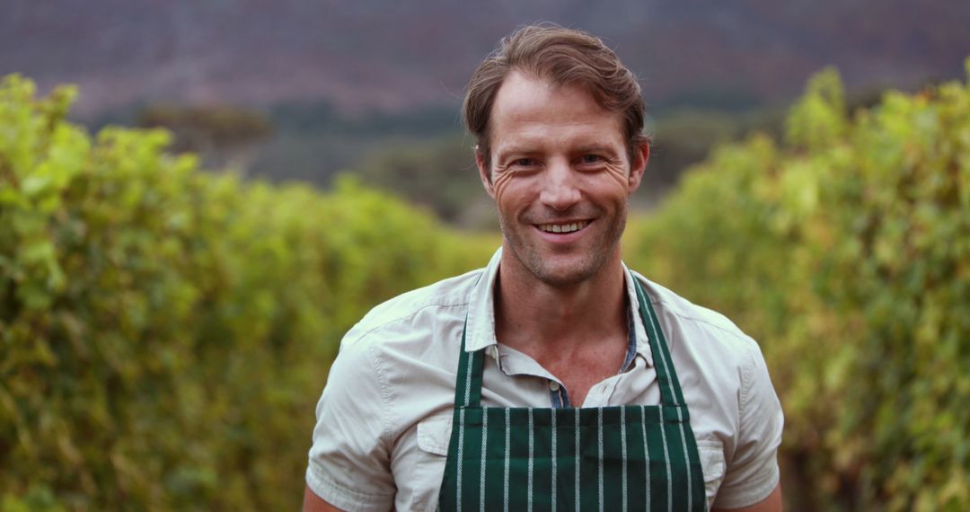 Smiling Male Vintner in Vineyard Wearing Apron - Free Images, Stock Photos and Pictures on Pikwizard.com