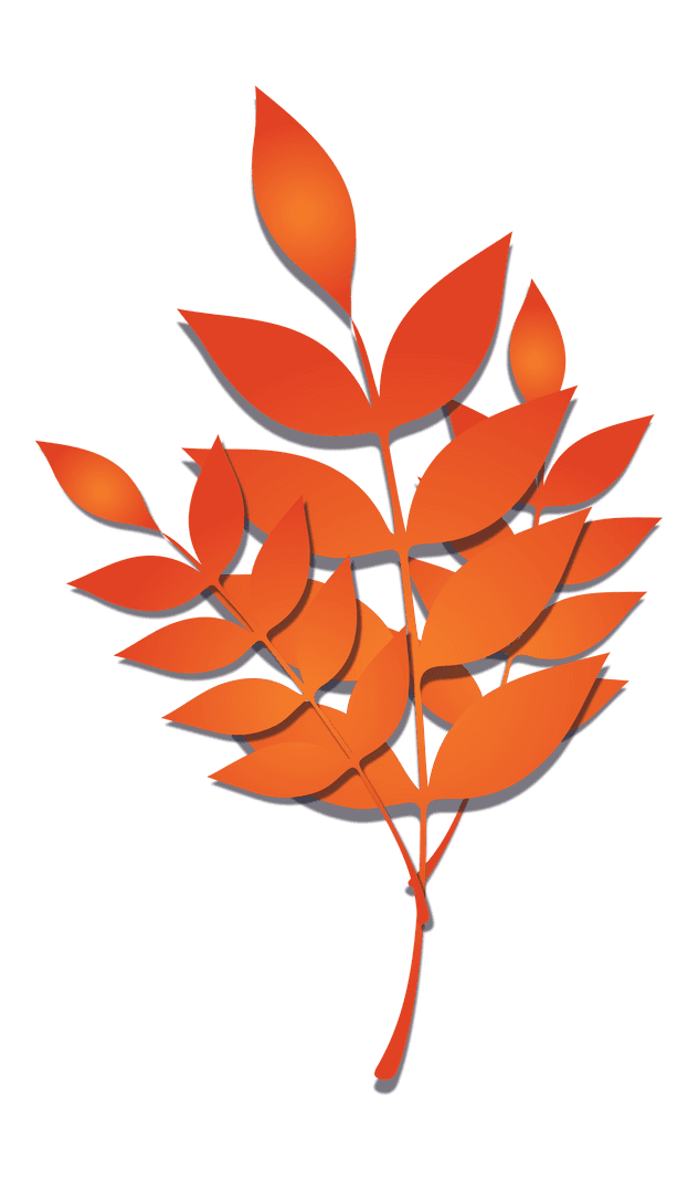 Transparent Orange Leaf Branch Gradient Design on Clear Background