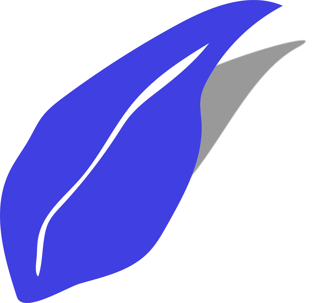 Modern Abstract Blue Leaf and Black Feather on Transparent Background