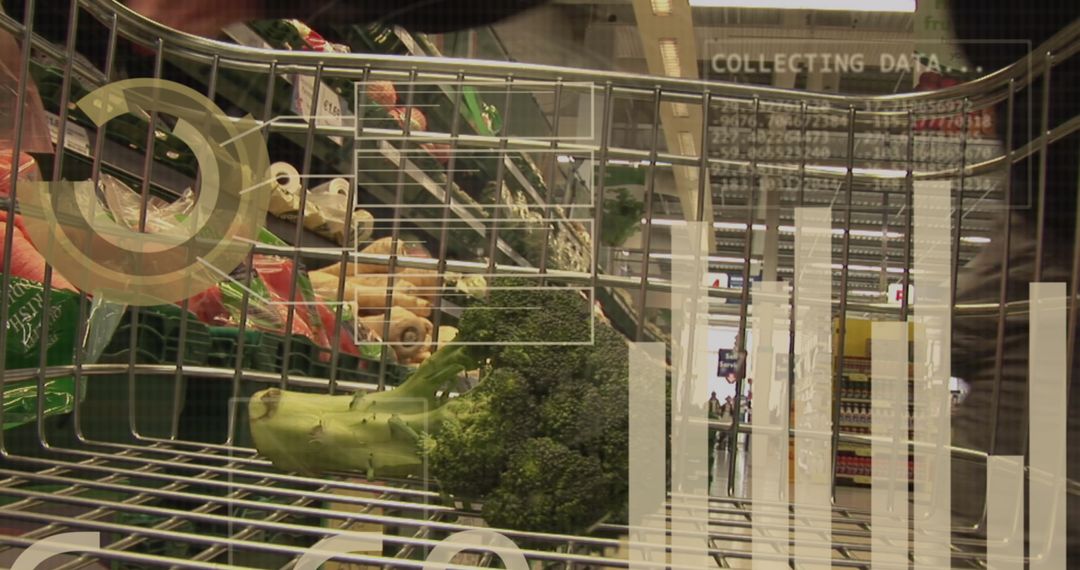 Data Analytics Overlaid on Supermarket Grocery Scene