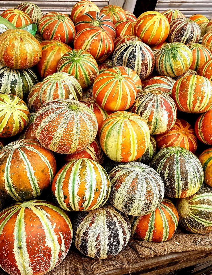 Abundance of African Melons in Marketplace Display - Free Images, Stock Photos and Pictures on Pikwizard.com