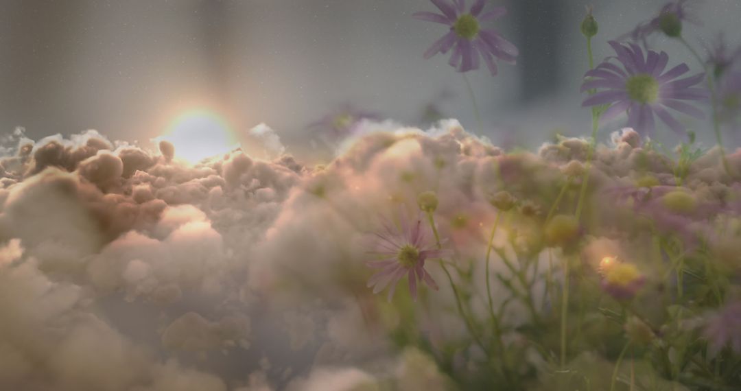 Dreamy Double Exposure of Sunset Clouds and Wildflowers