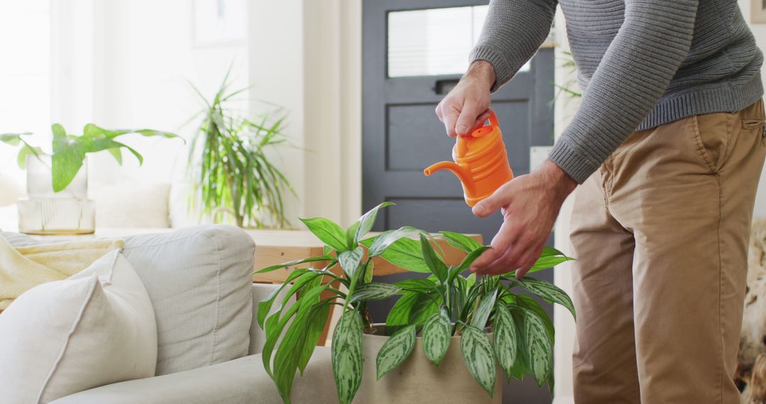 Person Watering Indoor Plants with Orange Watering Can in Cozy Home Interior - Free Images, Stock Photos and Pictures on Pikwizard.com