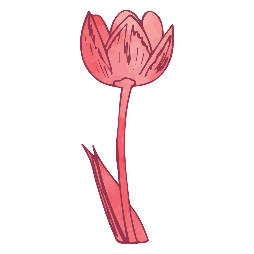 Elegant Pink Flower Vector on Transparent Background - Download Free Stock Images Pikwizard.com