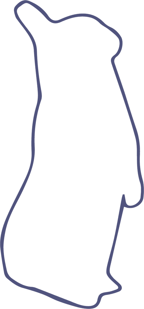 Penguin Outline Illustration on Transparent Background