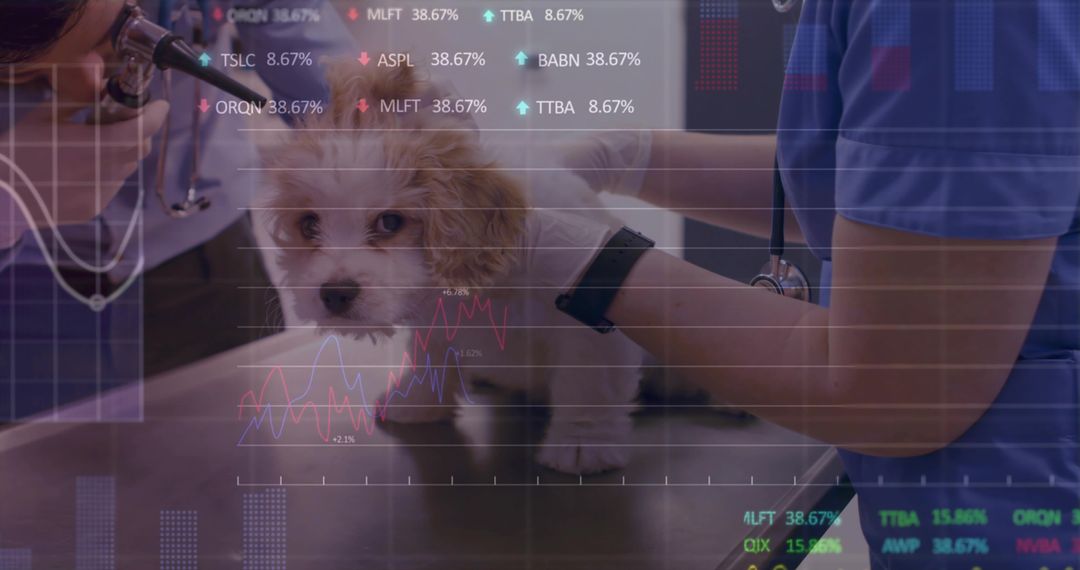 Veterinary Team Examining Puppy with Health Data Infographic Overlay