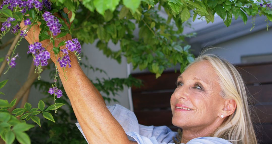 Senior Woman Gardening and Picking Purple Flowers - Free Images, Stock Photos and Pictures on Pikwizard.com