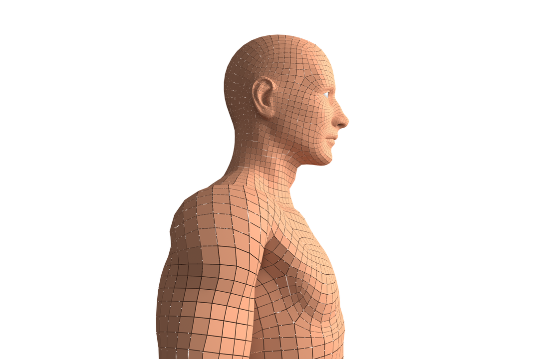 Transparent Side View of Human 3D Model Illustrating Digital Wireframe - Download Free Stock Images Pikwizard.com