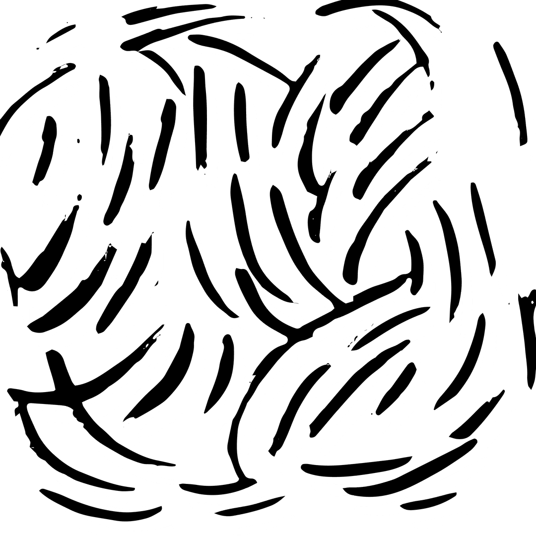 Black and White Stripe Pattern on Transparent Background