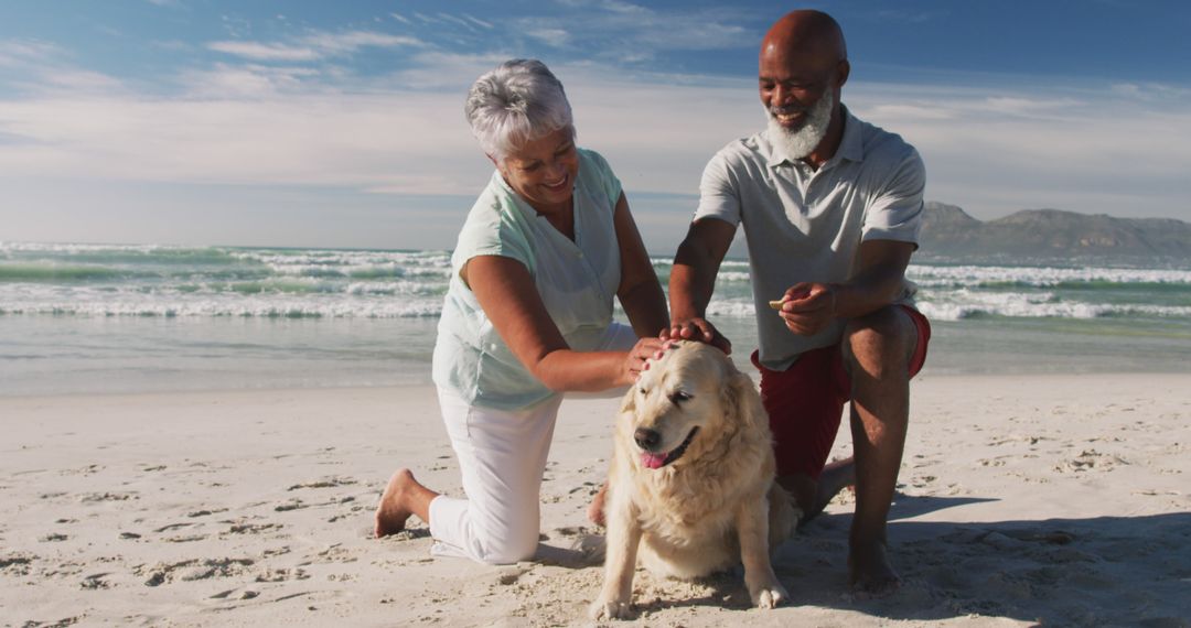 Senior african american couple petting a dog at the beach - Free Images, Stock Photos and Pictures on Pikwizard.com