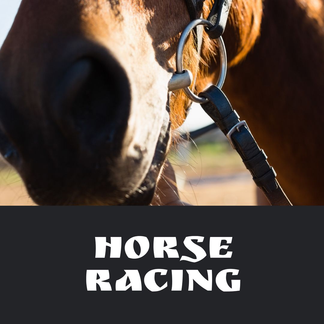 Close-up of Horse Muzzle with Horse Racing Typography