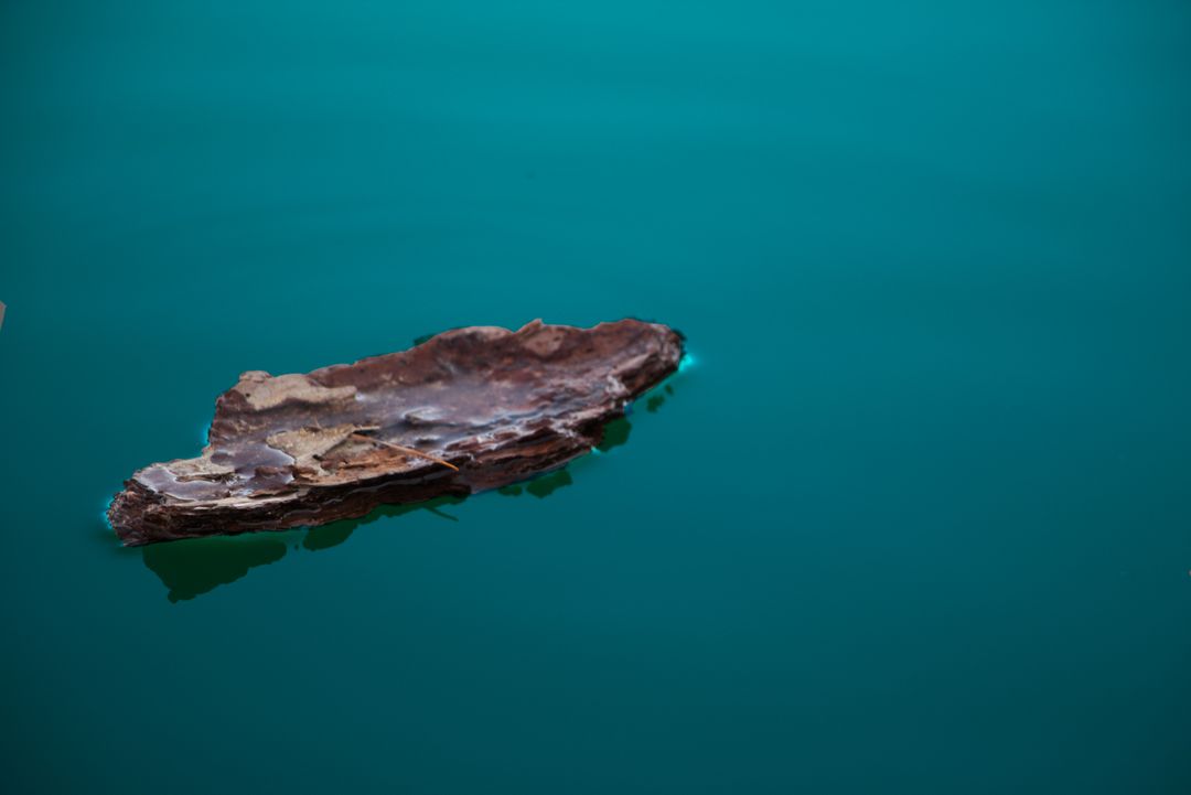 Single Brown Bark Floating on Calm Blue Water Surface - Free Images, Stock Photos and Pictures on Pikwizard.com