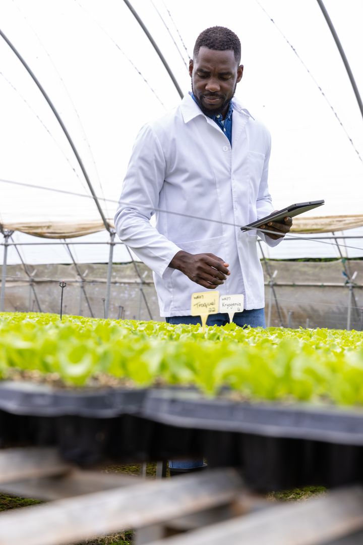 Agricultural Scientist Using Tablet for Innovative Crop Research in Greenhouse