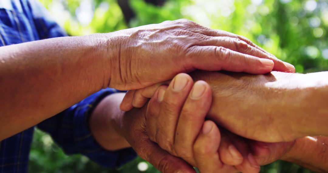 Close-up of Multigenerational Hands Showing Unity in Nature - Free Images, Stock Photos and Pictures on Pikwizard.com