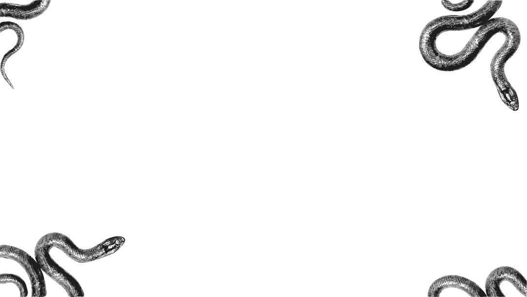 Elegant Silver Snake Border with Transparent Background