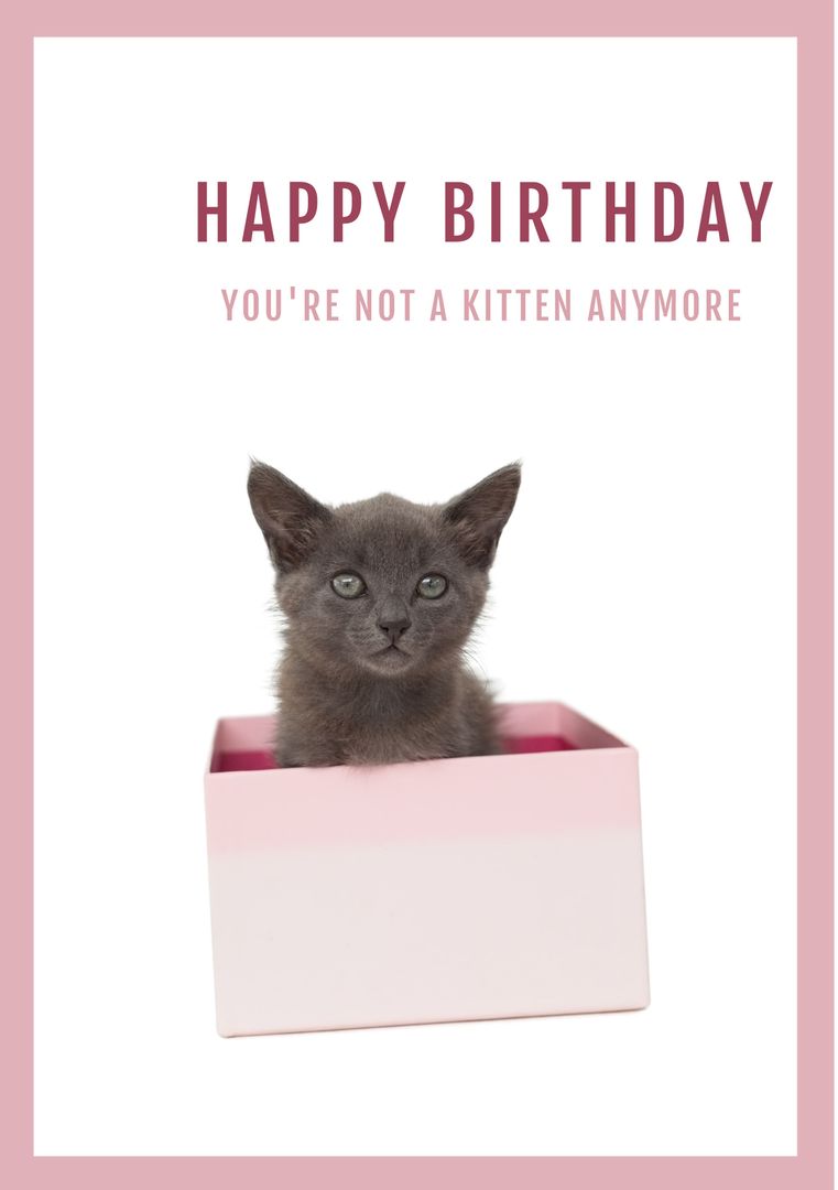 Happy Birthday Card with Cute Kitten in a Box - Download Free Stock Templates Pikwizard.com