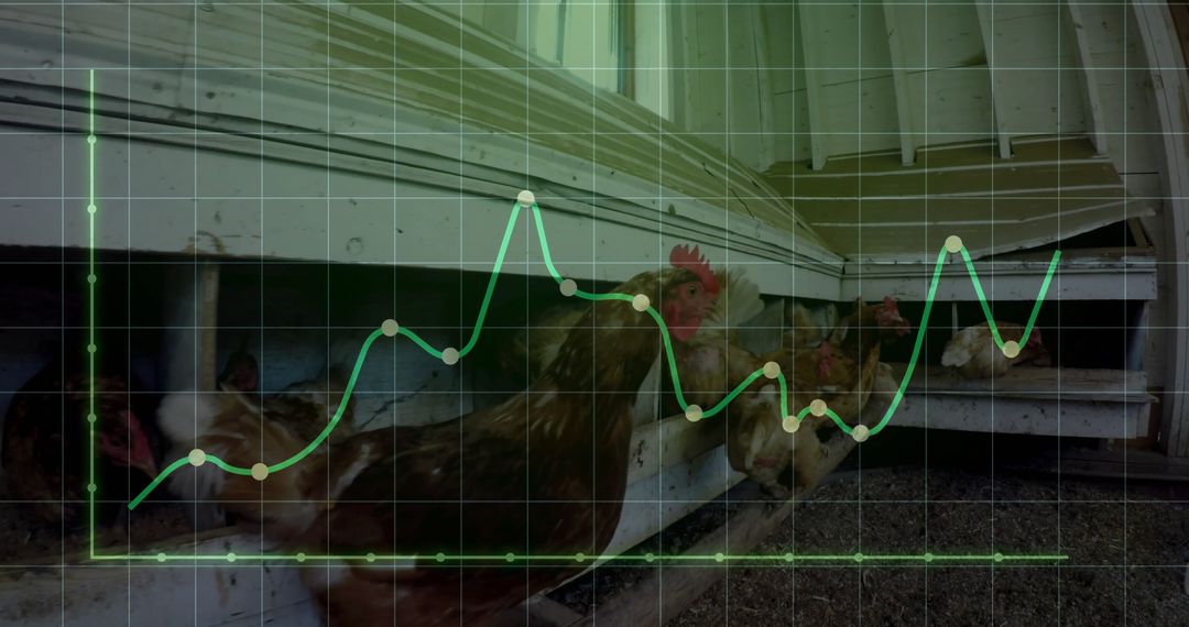 Modern Farming Technology Concept with Hens and Graph