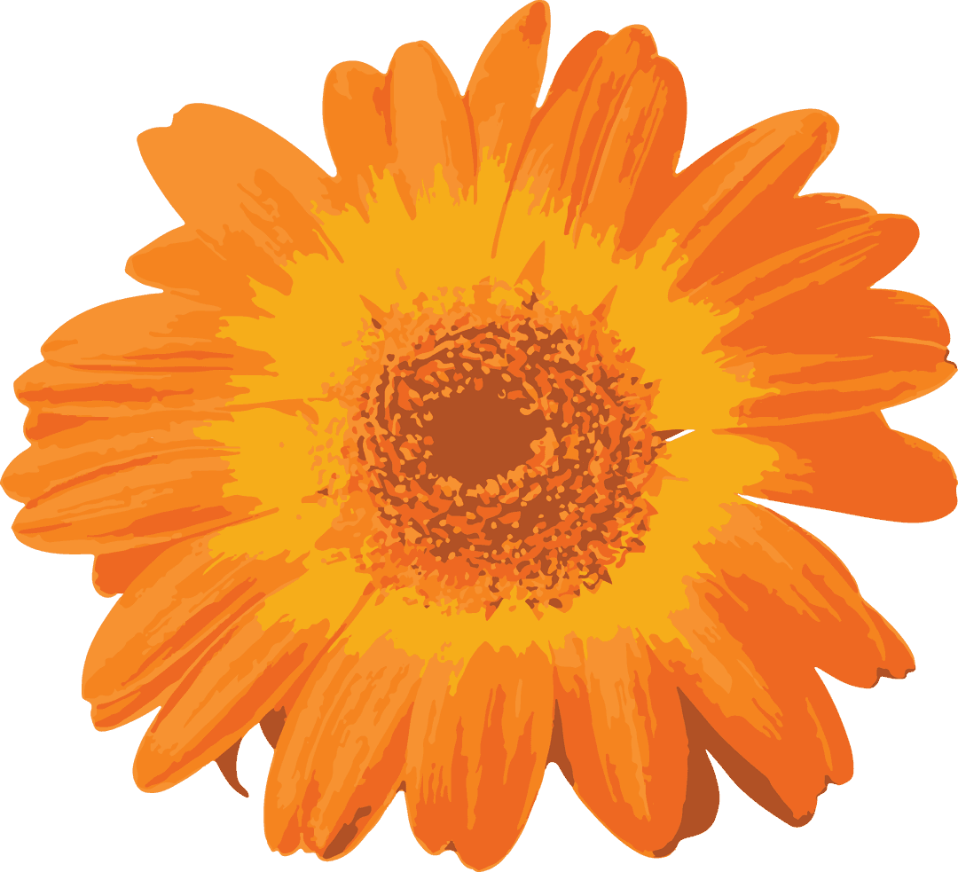 Vibrant Orange Flower with Transparent Background Design
