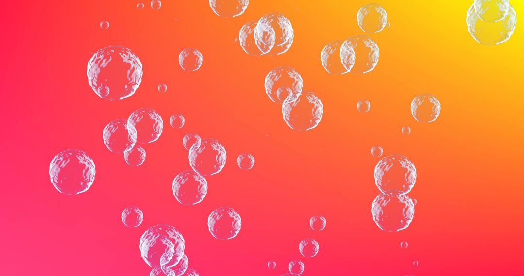 Clear Bubbles Floating Against Vibrant Gradient