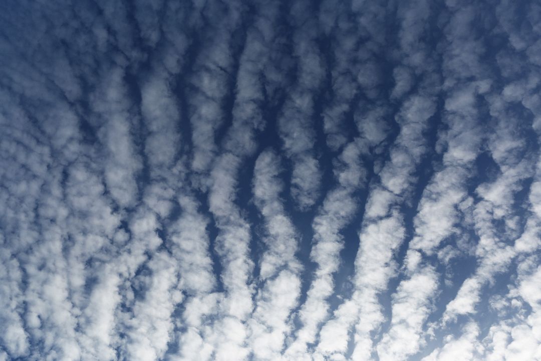 Beautiful Cirrocumulus Clouds in Clear Sky - Free Images, Stock Photos and Pictures on Pikwizard.com