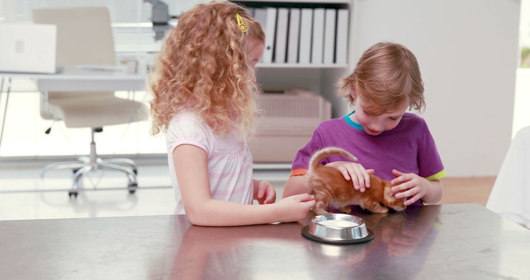 Children Feeding Cute Kitten in Modern Kitchen - Free Images, Stock Photos and Pictures on Pikwizard.com