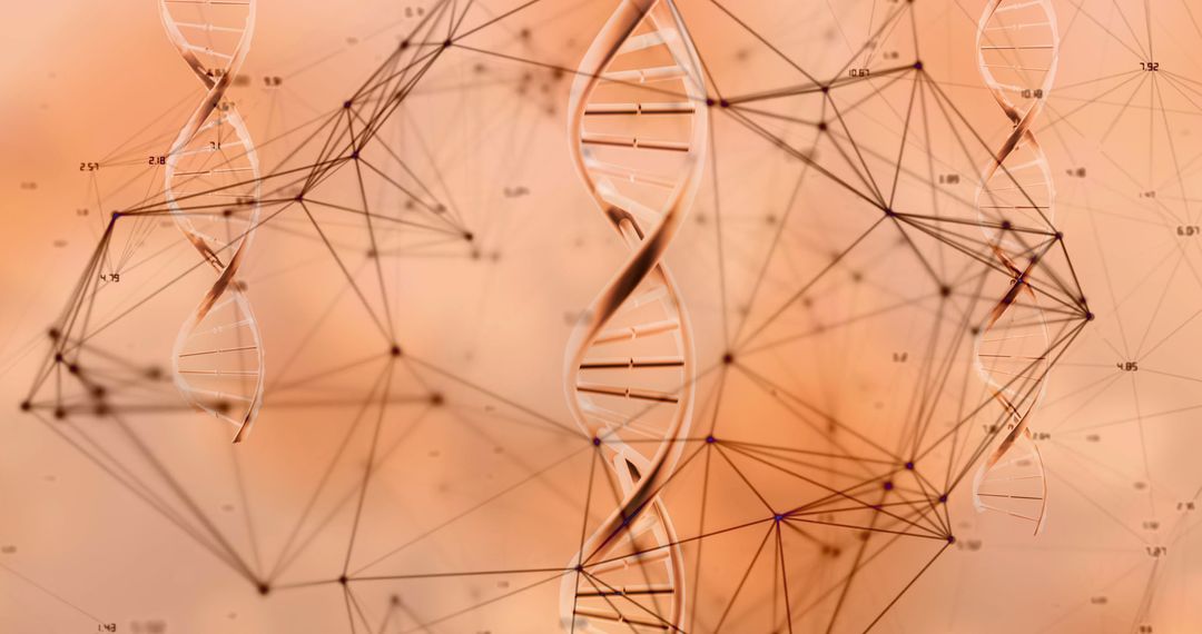 Abstract DNA Strands Intertwined with Digital Connections