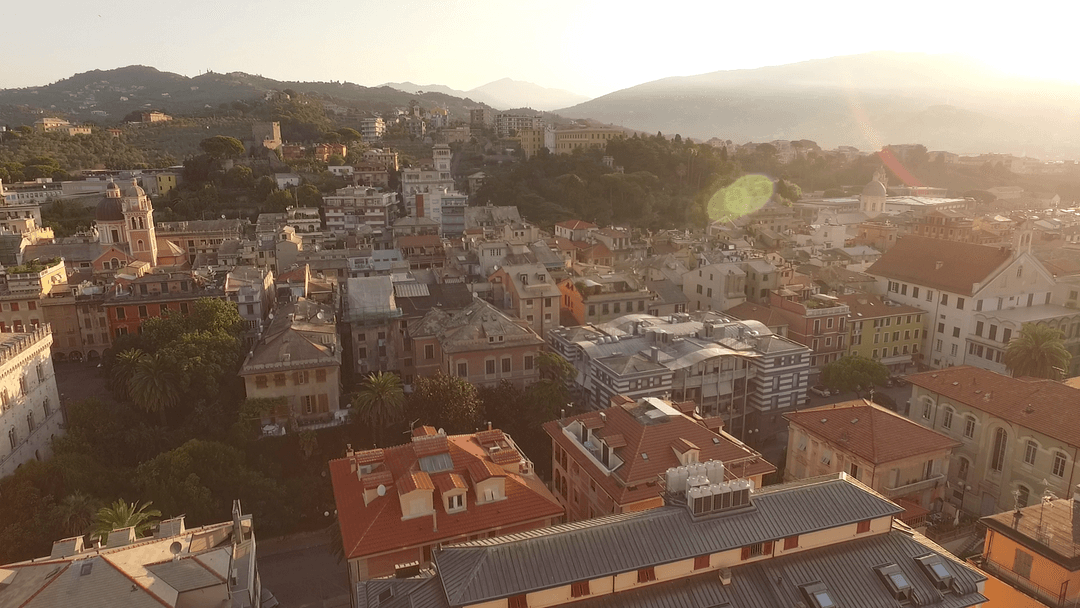 Transparent Cityscape Featuring Diverse Architecture and Trees