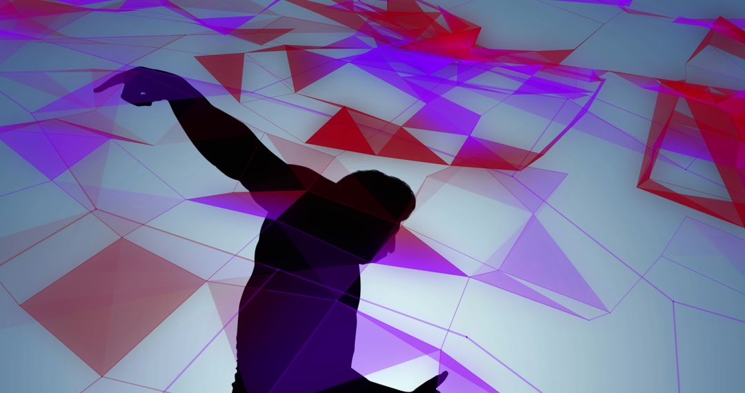 Dynamic Silhouette Over Geometric Abstraction