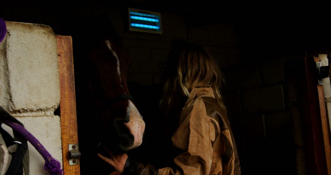 Woman Caring for Horse in Dark Stable - Free Images, Stock Photos and Pictures on Pikwizard.com