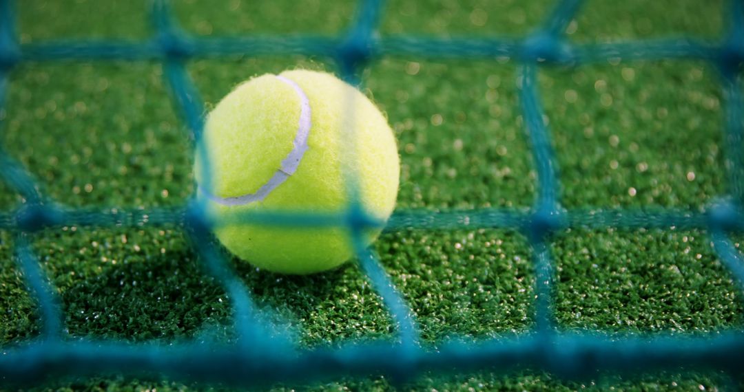 Close-Up of Tennis Ball Stuck in Net on Grass Court - Free Images, Stock Photos and Pictures on Pikwizard.com