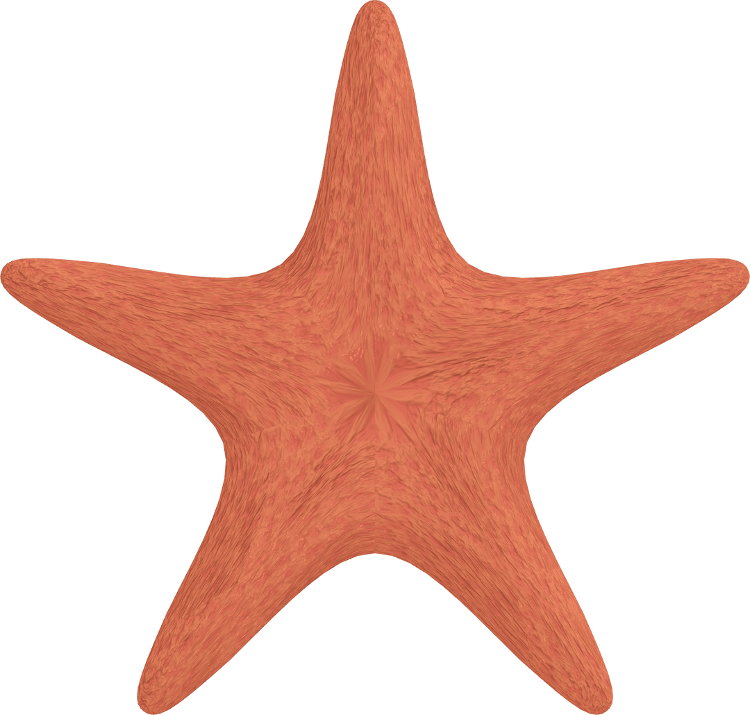 Transparent Digital Starfish Illustration with Textured Orange Pattern
