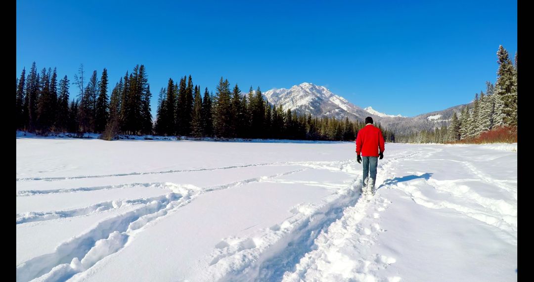 Man Walking in Winter Landscape with Snow and Mountains - Free Images, Stock Photos and Pictures on Pikwizard.com