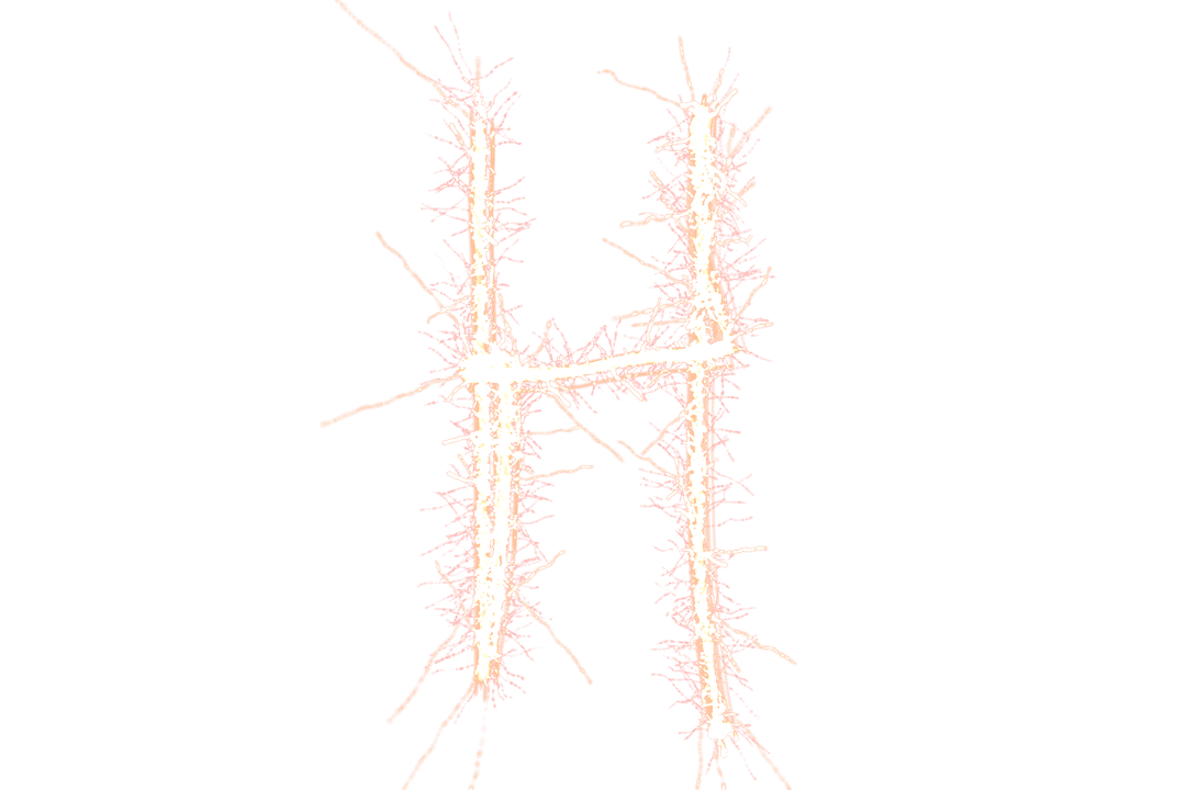 Transparent Sparkling Pink Letter H Design on Classic Background
