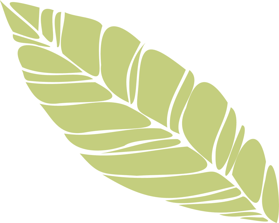 Stylized Pale Green Leaf with Dark Veins on Transparent
