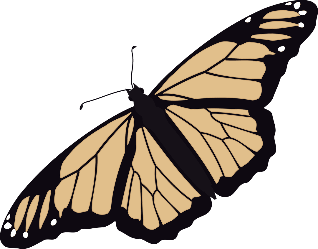 Transparent Monarch Butterfly Vector with Elegant Detail