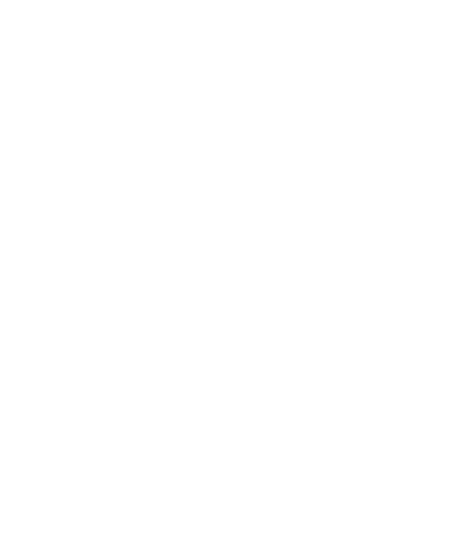 Silhouette woman exercising with yoga ball, raising leg in transparent - Download Free Stock Images Pikwizard.com