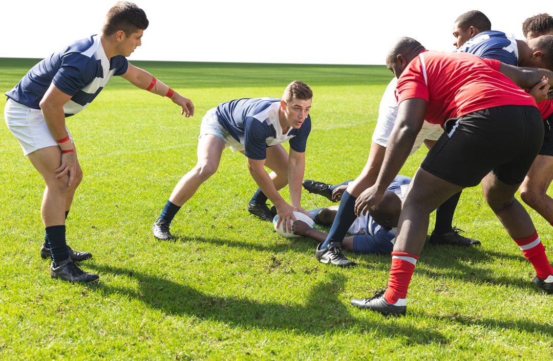 Diverse Male Rugby Players Competing on Field with Transparent Background - Download Free Stock Images Pikwizard.com