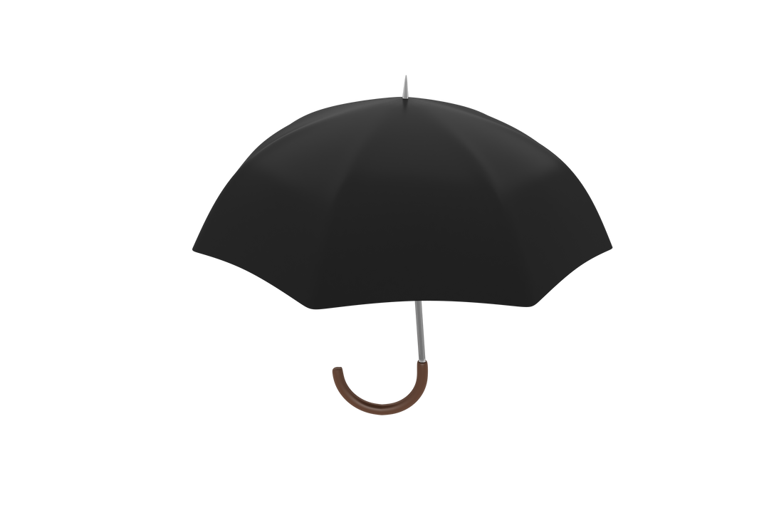 Transparent Premium Black Umbrella With Wooden Handle CG Rendering - Download Free Stock Images Pikwizard.com